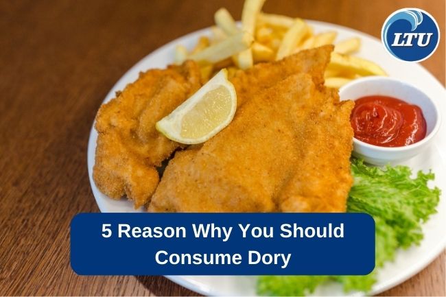 5 Reasons Why You Should Consume Dory